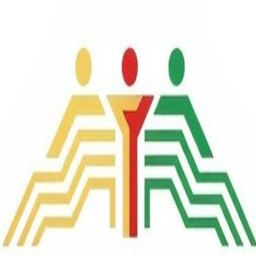 DSI Icon